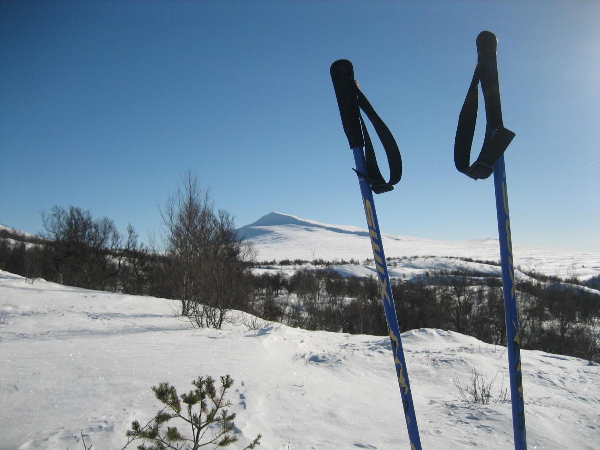 ホテル Hovringen Fjellstue エクステリア 写真